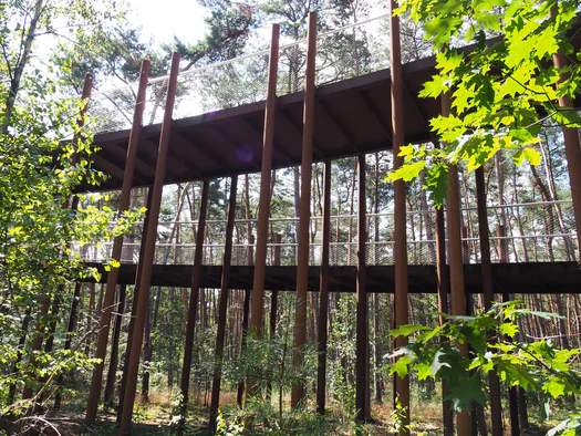 Pijnven, National Parc Forrestland, Overpelt, Hechtel-Eksel and Lommel (Belgium)